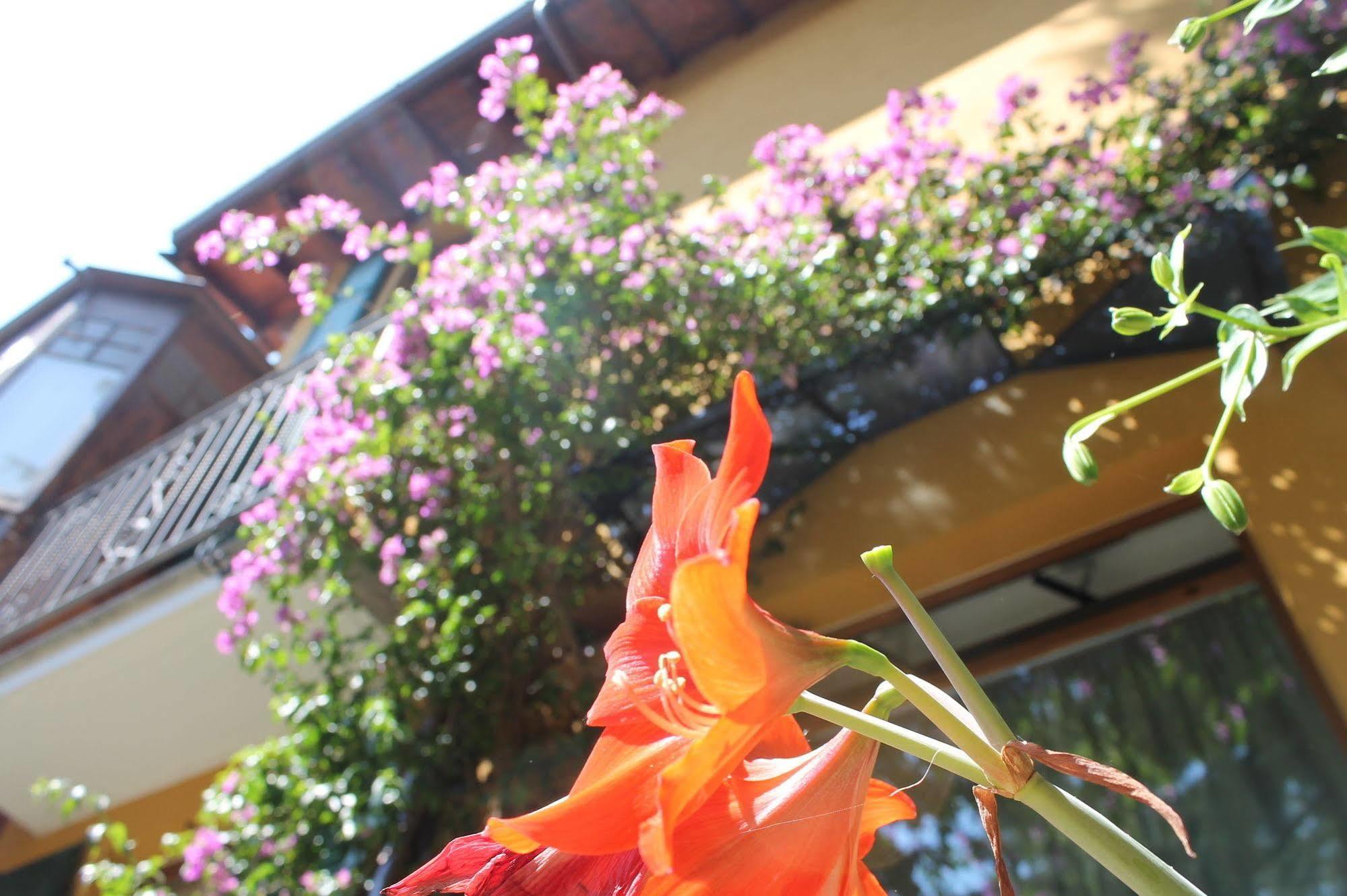 Hotel Centrale Bellagio Luaran gambar